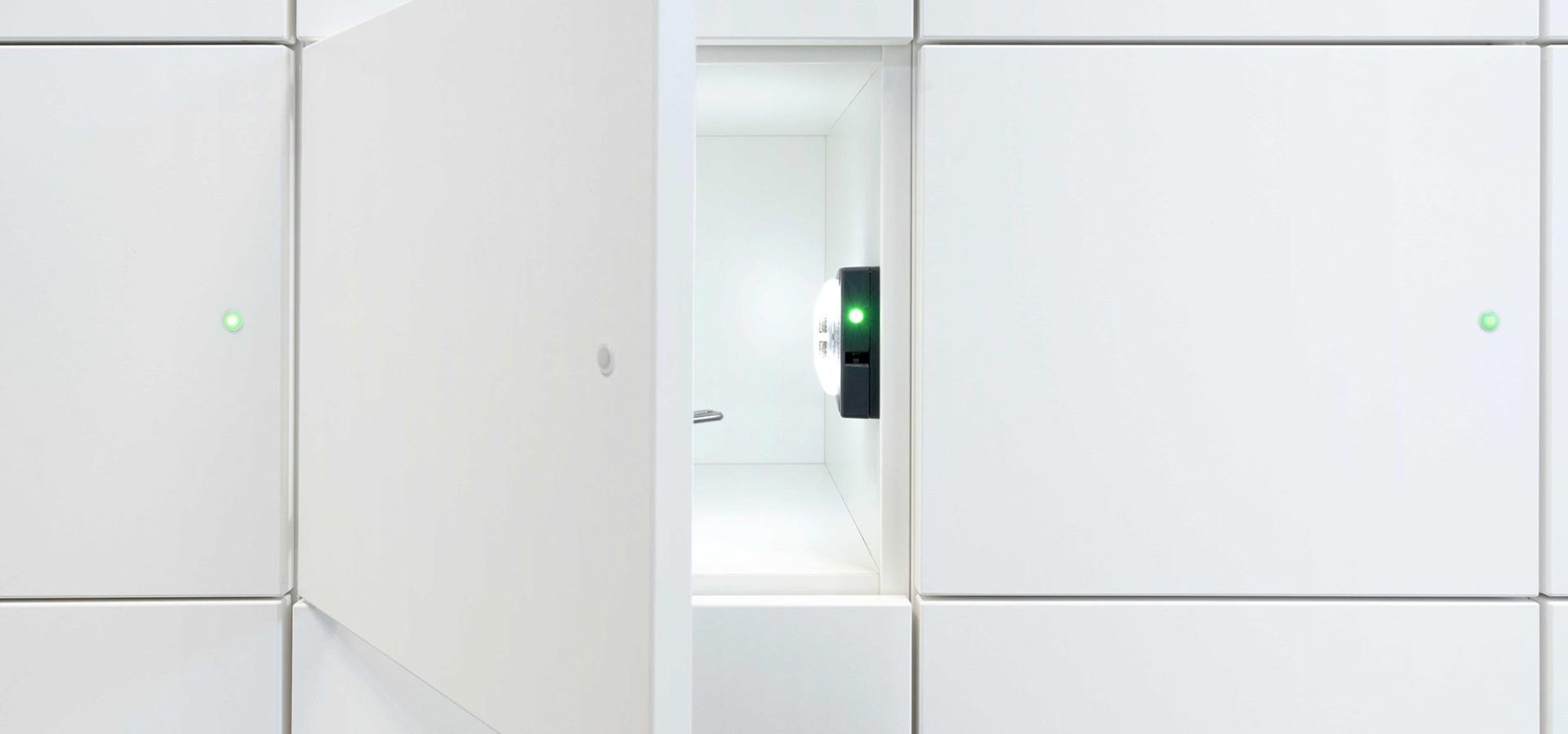 gat-netlock-ambiente-2